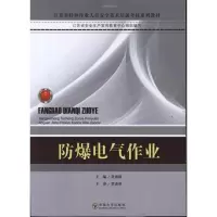 防爆电气作业9787564128555东南大学出版社吴炳辉