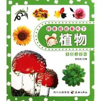 好奇娃娃看天下系列?好奇娃娃看天下---植物9787545505016天地出版社田站省