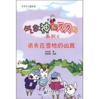 消失在雪地的凶器9787502953331气象出版社朱应珍