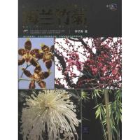 梅兰竹菊9787302273271清华大学出版社李子青