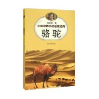 骆驼9787533268824明天出版社杨志军