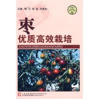 枣优质高效栽培/社会主义新农村建设文库9787533144333山东科学技术出版社杨力