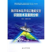 海洋深水钻井浅层地质灾害识别技术及案例分析9787502190958石油工业出版社易远元