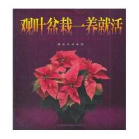 观叶盆栽一养就活9787553703343江苏科学技术出版社蒋青海