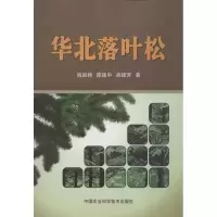 华北落叶松9787511611024中国农业科学技术出版社陈建中