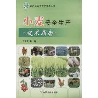 小麦安全生产技术指南9787109163843中国农业出版社