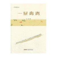 一屉青春9787539645698安徽文艺出版社石岩