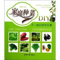 家庭种菜DIY:不一样的蔬菜风景9787566901774东华大学出版社