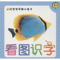 看图识字 (中)9787534274558浙江少年儿童出版社吴珩