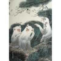 徐培晨猿猴画专集9787534449956江苏美术出版社徐培晨