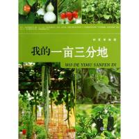 我的一亩三分地9787562473480重庆大学出版社钟茗
