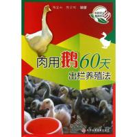 肉用鹅60天出栏养殖法9787502378028科学技术文献出版社杨宝山