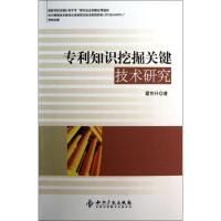 专利知识挖掘关键技术研究9787513016865知识产权出版社翟东升