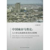 中国城市马赛克 ：人口多元化进程及其社会影响9787552004021上海社会科学院出版社王红霞