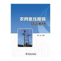 农网低压降损培训教材9787512351004中国电力出版社戴泌