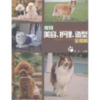 宠物美容、护理、造型全图解9787109183056中国农业出版社