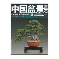 中国盆景赏石 (2013.10)9787503872105中国林业出版社中国盆景艺术家协会