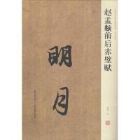 赵孟頫前后赤壁赋9787540115210河南美术出版社薛海洋