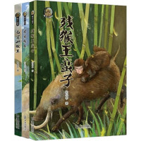 兄弟猴王9787550505797大连出版社杨保中