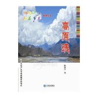 高原魂9787550505360大连出版社陈汉昌
