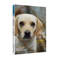小狗布鲁:只从死亡线救回的狗狗及其主人的寻找  之旅9787564085889北京理工大学出版社