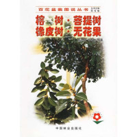 榕树.菩提树.橡皮树.无花果//百花盆栽图说丛书9787503836343中国林业出版社刘青林