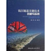 钱江隧道关键技术创新与实践9787112161058中国建筑工业出版社杨磊