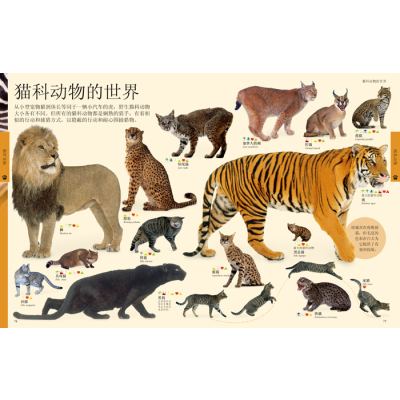 DK儿童动物百科全书(D2版)9787500093220中国大百科全书出版社无