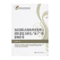 知识团队内部的**处理与团队创造力研究: