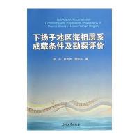 下扬子地区海相层系成藏条件及勘探评价9787502197551石油工业出版社梁兵