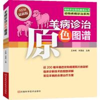 羊病诊治原色图谱(很新版)9787534970870河南科学技术出版社无