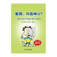 暑假你在哪儿?9787302372714清华大学出版社林肯·皮尔斯