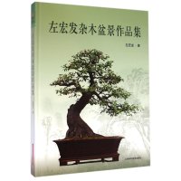 左宏发杂木盆景作品集9787547824306上海科学技术出版社左宏发