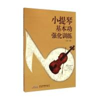 小提琴基本功强化训练9787539651149安徽文艺出版社丁芷诺