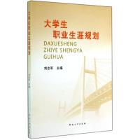 大学生职业生涯规划9787564915285河南大学出版社刘志军