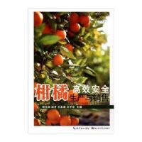 柑橘高效安全生产与销售9787535265340湖北科学技术出版社无