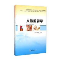 人体解剖学/刘荣志9787564518288郑州大学出版社刘荣志