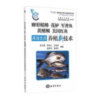 卵形鲳鲹、花鲈、.军曹鱼、黄鳍鲷、美国红鱼高效生态养殖新技术9787502790882中国海洋出版社区又君