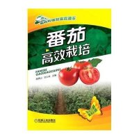 番茄高效栽培9787111492641机械工业出版社苗锦山