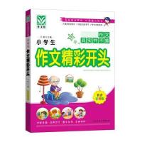 小学生作文精彩开头(注音彩图版)9787563943029北京工业大学出版社于莉