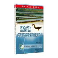 泥鳅健康高效养殖关键技术/特种动物养殖系列/强农惠农丛书:特种动物养殖系列9787554212462中原农民出版社李红