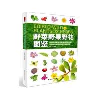 野菜野果野花图鉴9787538491616吉林科学技术出版社吴棣飞