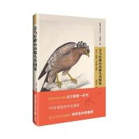 喜马拉雅山珍惜鸟类图鉴9787200115192北京出版集团约翰·古尔德