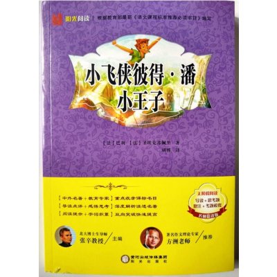 小飞侠彼得·潘 小王子(名师精讲版)9787552521047阳光出版社巴利