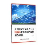 低碳旗帜下的电力行业2020年技术经济指标体系研究9787518908561科学技术文献出版社吴疆