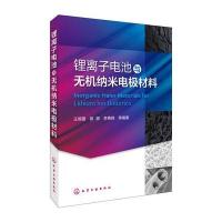 锂离子电池与无机纳米电极材料9787122257307化学工业出版社王恒国