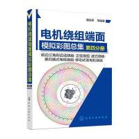 电机绕组端面模拟彩图总集(D4分册延边三角形启动绕组·正弦绕组·波式绕组·换向器式电枢绕组·移动式发电机绕组)