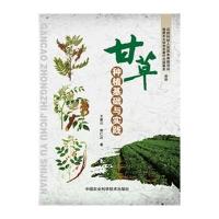 甘草种植基础与实践9787511624109中国农业科学技术出版社王冀川