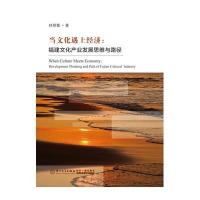 当文化遇上经济:福建文化产业发展思维与路径9787561558454厦门大学出版社林朝霞