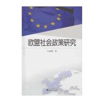 欧盟社会政策研究9787307176799武汉大学出版社石晨霞